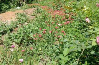 Conservation, Equity & Rights