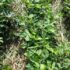 Conservation, Equity & Rights