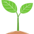 Catalysing Change